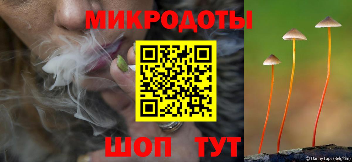 Галлюциногенные грибы прущие грибы Балаково