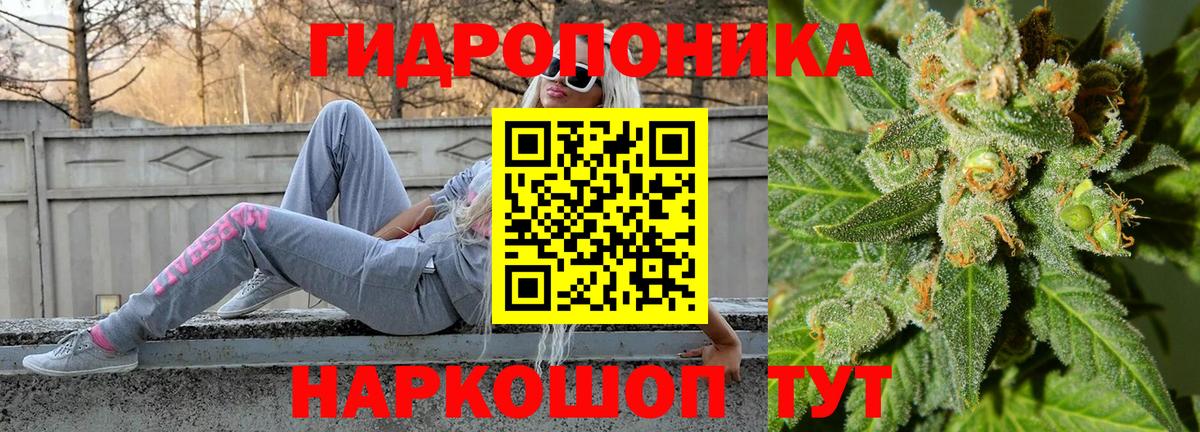 Бошки Шишки Amnesia Балаково